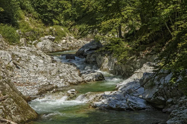 Paesaggio Sul Corso Superiore Del Fiume Gilort Gorj Romania — Foto Stock