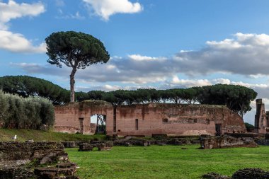 Roma, İtalya - 01 Aralık 2019: Roma, İtalya 'daki Palatine Hill' de Septimius Severus veya Domus Severiana Sarayı 'nın kalıntıları