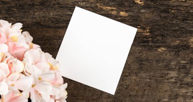 Pastel pembe ortanca çiçekleri ve tahta sırtında bir parça kağıt.