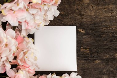 Pastel pembe ortanca çiçekleri ve tahta sırtında bir parça kağıt.