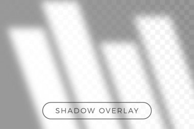 Overlay shadow of natural lighting in realism style with transpa