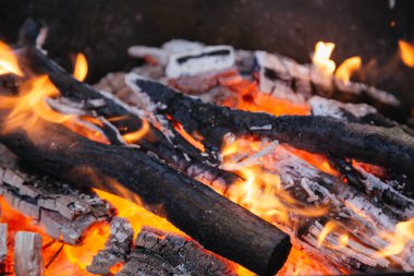 Burning charcoal in the fire for barbecue. Close-up.