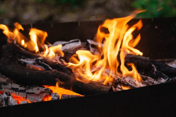 Burning charcoal in the fire for barbecue. Close-up. — Stock fotografie
