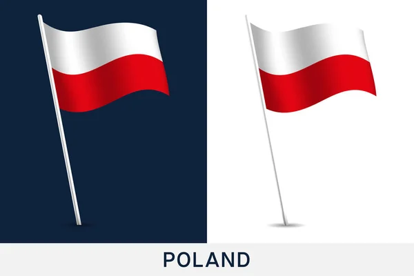 Drapeau vectoriel Pologne. Le drapeau national de la Pologne brandissant isolé sur w — Image vectorielle