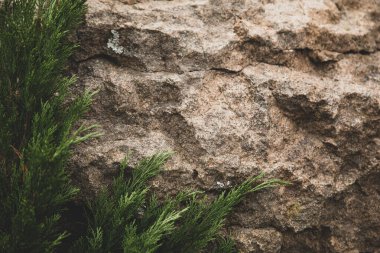 Antik ahşap kapı arka planı. Aygıtınız için duvar kağıdı.