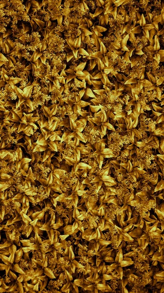 Vertical Yellow or gold leaf wall texture for backdrop design and eco wall and die-cut for artwork