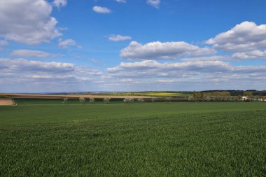 yeşil alan ve mavi gökyüzü
