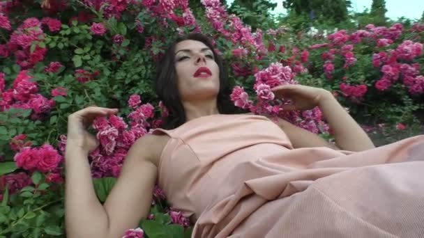 Γυναίκα ονειρεύεται στα τριαντάφυλλα. — Αρχείο Βίντεο