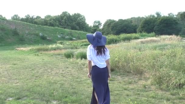 Mulher está andando no campo . — Vídeo de Stock