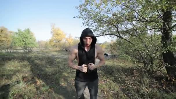 Sportoló fut az erdőben. — Stock videók