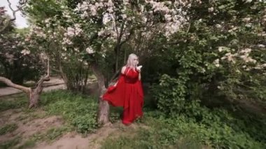Peri kadın elf ormandaki kırmızı elbise.