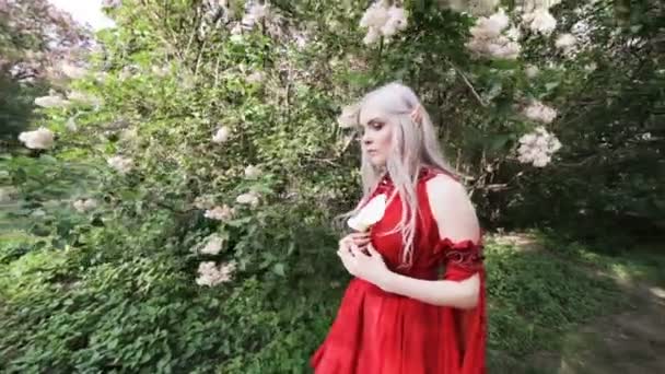 Jardim Conto Fadas Uma Mulher Elfo Vestido Vermelho — Vídeo de Stock