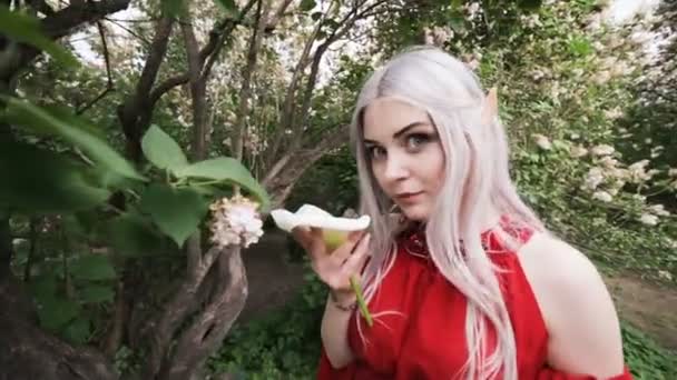 Γυναίκα Elf Ένα Άσπρο Λουλούδι Φορώντας Ένα Κόκκινο Φόρεμα — Αρχείο Βίντεο