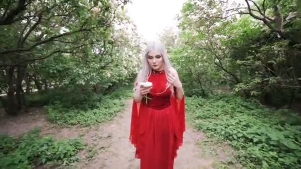Hermosa Mujer Elfa Bosque Hadas — Vídeos de Stock