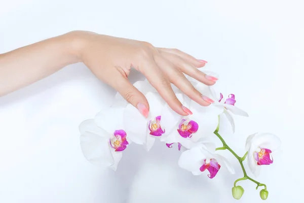 Mão de mulher com uma bela manicure acaricia flores magnólia . — Fotografia de Stock
