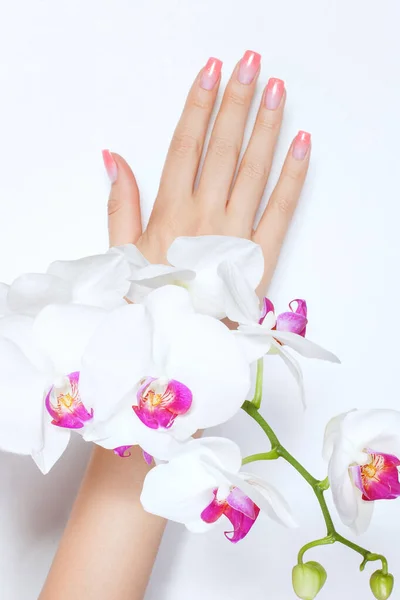 Vrouwelijke hand met een mooie manicure. — Stockfoto