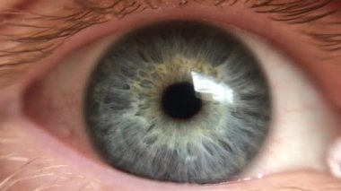 Göz kırpan gri erkek göz retinasının Macro 'su..