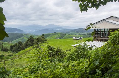 Güzel pirinç terasları, Ban Pa Pong Pieng Mae chaem Chaing Mai Tayland.
