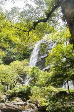 Tayland Klong lan şelale Milli Parkı