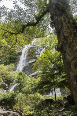 Tayland Klong lan şelale Milli Parkı
