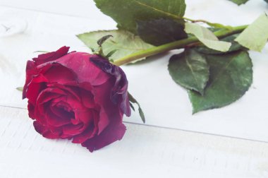 Sevgililer Günü Kalp Arkaplanı 