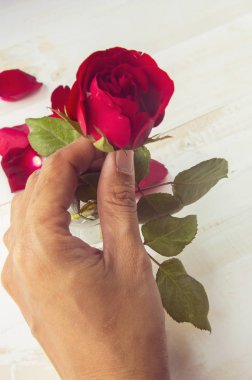 Sevgililer Günü Kalp Arkaplanı 