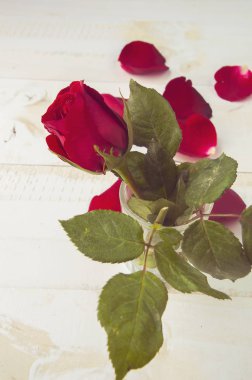 Sevgililer Günü Kalp Arkaplanı 