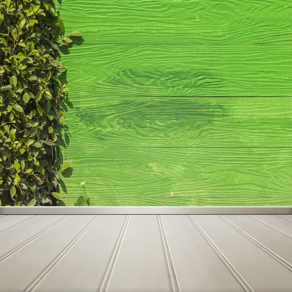 Witte vloer met groen blad en groene houten muur interieur kamer te — Stockfoto