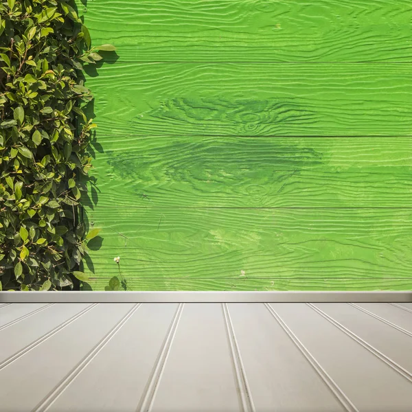 Plancher blanc avec feuille verte et mur de bois vert chambre intérieure te — Photo