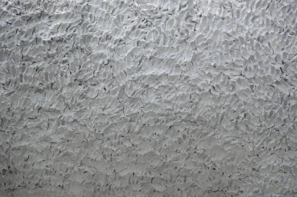 Texture ciment blanc pour fond — Photo