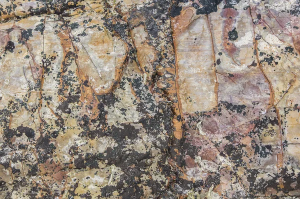 Texture of Brown stone, lava stone — Stock Photo, Image