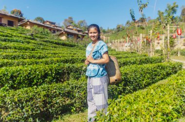 Shui fong, Tayland 'daki Yeşil çay tarlasında duran kadın tepe çiftçisi.