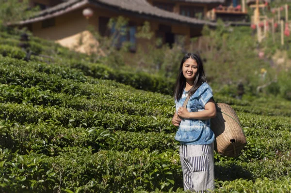 Women hill tribe farmer standing in Green tea field in Mea Hong