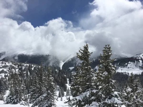 Niedrige Wolken Den Bergen — Stockfoto