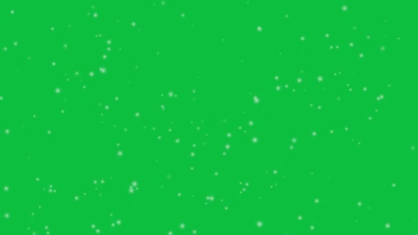 Caída Nieve Animación Nevadas Fondo Croma Verde Pantalla Verde — Vídeos de Stock