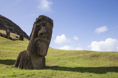 Paskalya Adası 'ndaki Rano Raraku' daki Moai 'nin başı. 