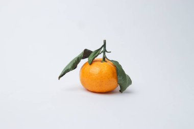 Bir dalda parlak küçük mandalina