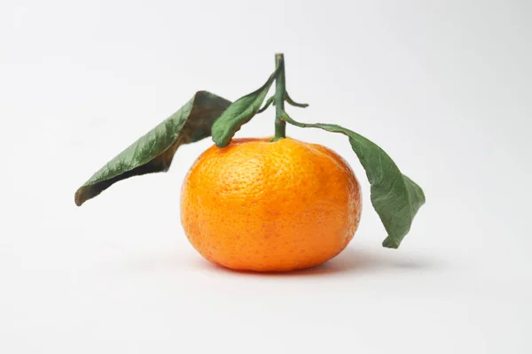Bir dalda parlak küçük mandalina