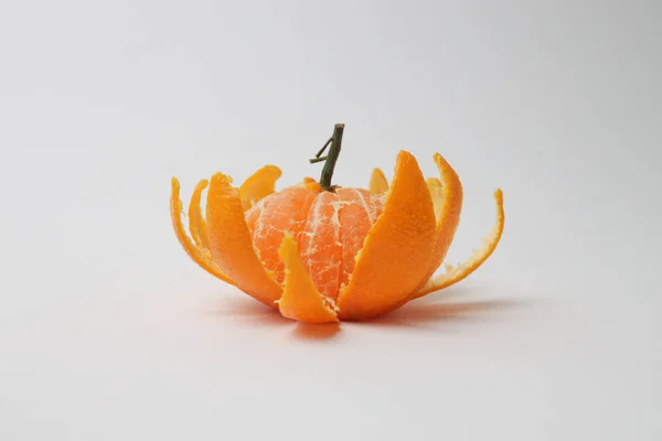 Bir dalda parlak küçük mandalina