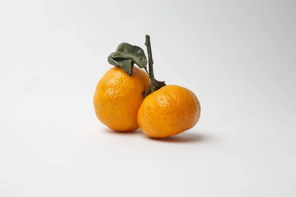 Bir dalda parlak küçük mandalina