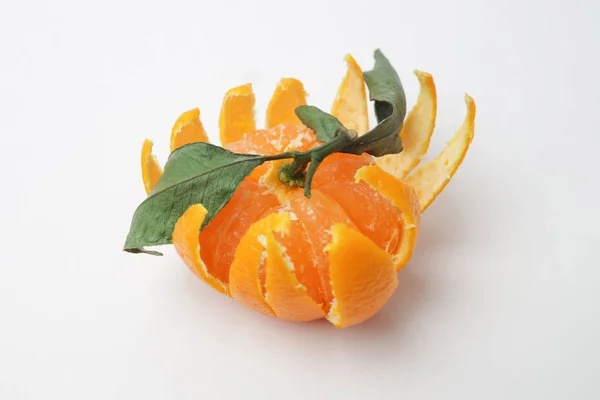Bir dalda parlak küçük mandalina