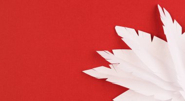 Kırmızı arka planda beyaz kağıt tüyler, üst manzara. Pastel arka planda kağıt dekorasyonu