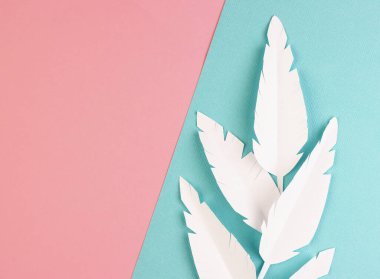 Pembe ve mavi arka planda beyaz kağıt tüyler, üst manzara. Pastel arka planda kağıt dekorasyonu
