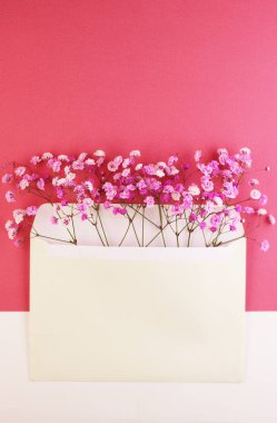 Zarfın içinde pembe tüylü süs bitkileri. Pembe arka planda süslemeleri olan beyaz bir zarf. Kadınlar için pastel mor arka plan