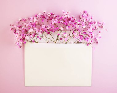 Pembe bir kağıtta, posta zarfındaki güzel bahar mor çiçekleri. Üst görünüm, düz biçim