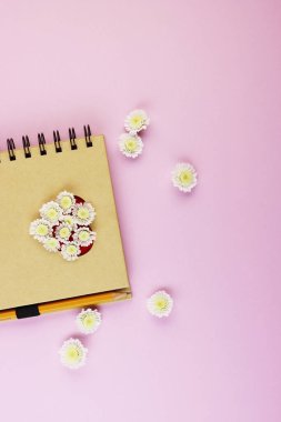 Ofis masasının üst görünümü, pastel renklerin arka planında bir Not Defteri, kalem ve kopyalama alanı. Pembe arka planda kurşun kalemli defter