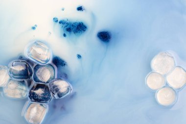 İnanılmaz renkli mavi agat kristal kesiti beyaz arka planda izole edildi. Ağ kristalinin doğal yarı saydam yüzeyi, mineral taşı makro yakın çekim mavi soyut yapısı