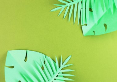 Yeşil arka planda çeşitli tropikal yapraklar, üst manzara. Kağıt yeşil yapraklı egzotik arkaplan