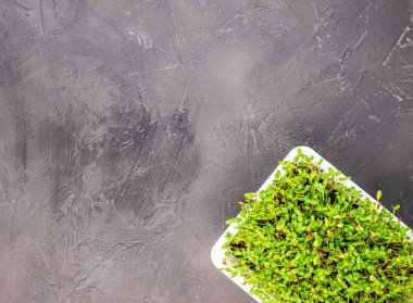 Siyah mermer arka planda yeşil keten filizleri, üst manzara. Çiğ lahanalar mikroyeşil, sağlıklı gıda konsepti