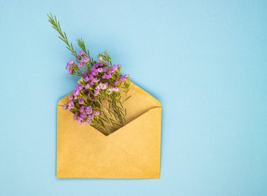 Mavi kağıt kaplamalı bir zarf içinde güzel bahar mor çiçekleri. Üst manzara, düz stil. Kadın tatili için arka plan